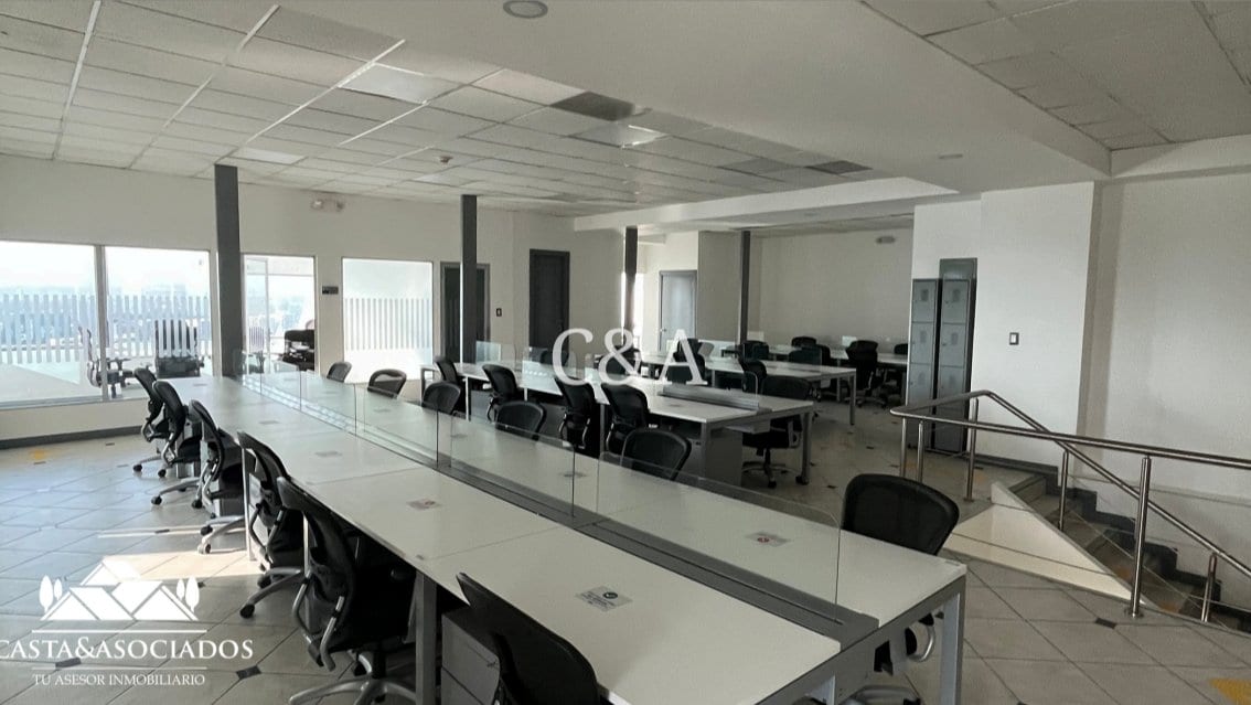 PROYECTOS OFICINAS EN RENTA ZONA 14 — Casta & Asociados — foto 6 de 8