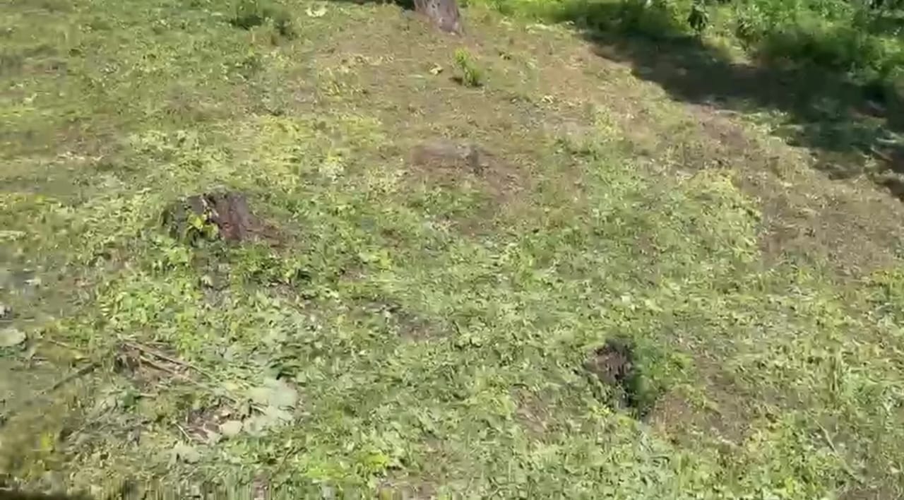 Terreno en Venta San Miguel Buena Vista — foto 4 de 5