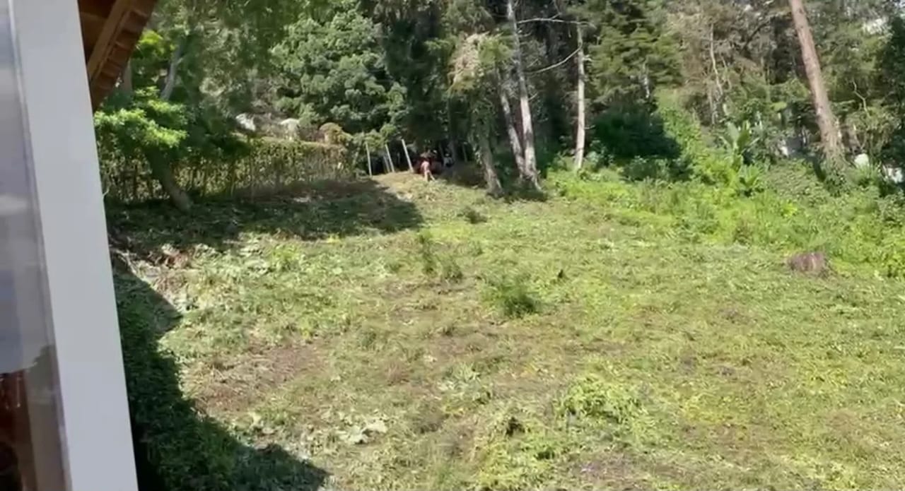Terreno en Venta San Miguel Buena Vista — foto 2 de 5