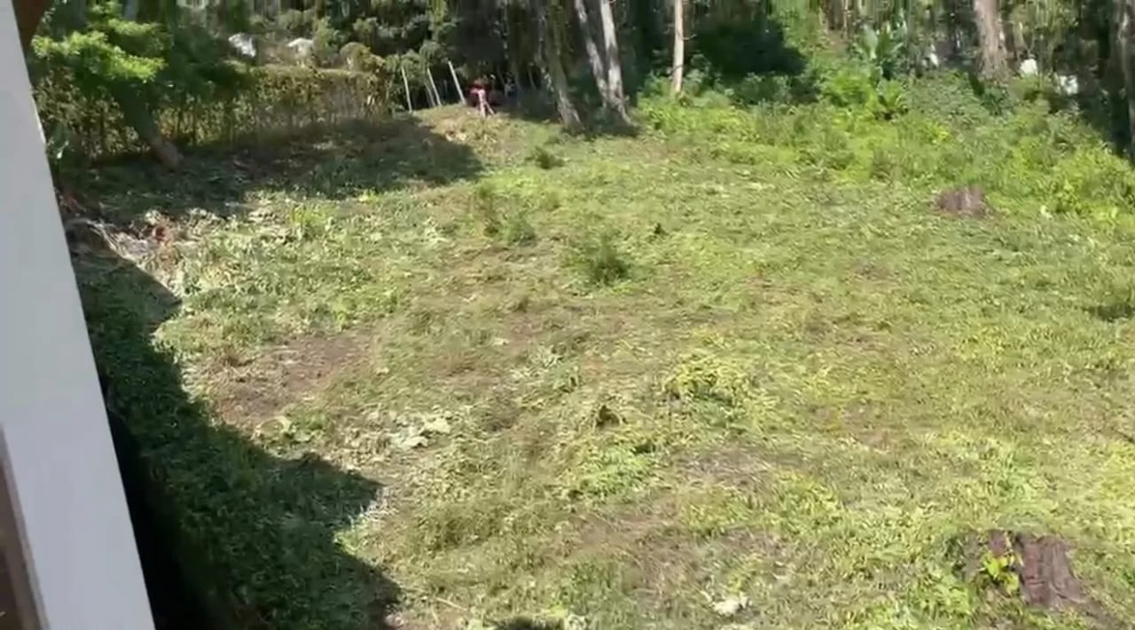 Terreno en Venta San Miguel Buena Vista — foto 3 de 5
