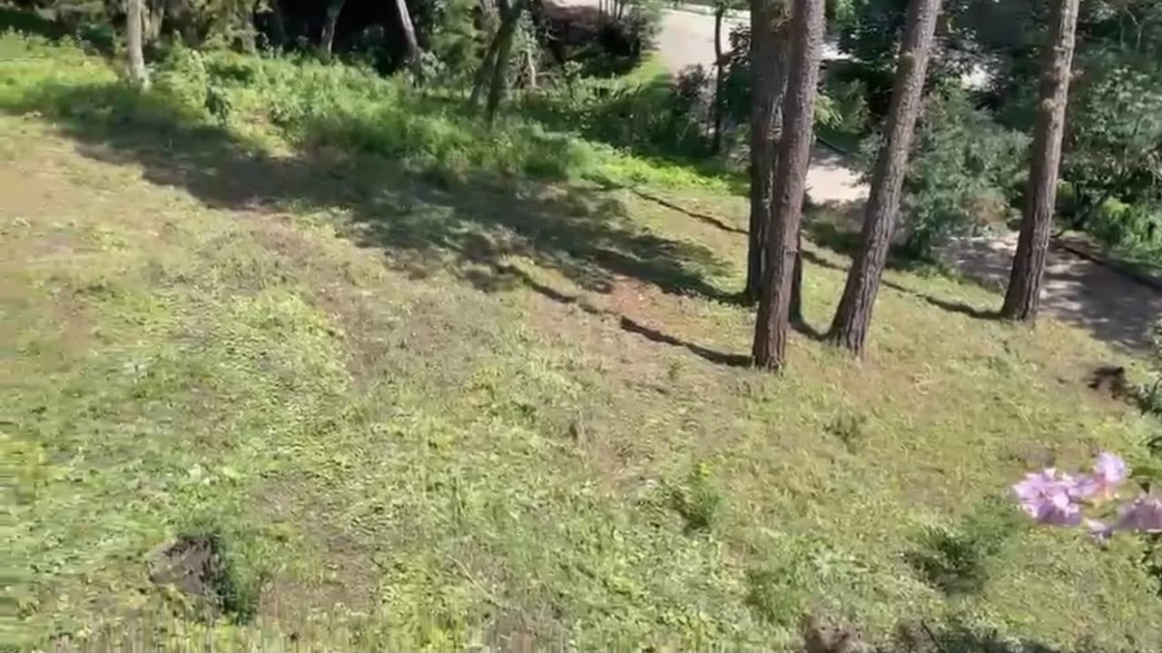 Terreno en Venta San Miguel Buena Vista — foto 5 de 5