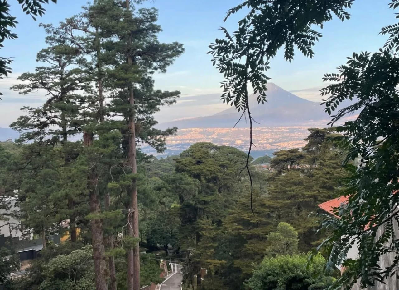 Terreno en Venta San Miguel Buena Vista — foto 1 de 5