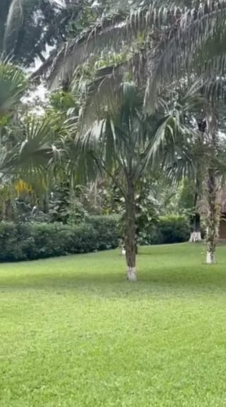 CASA EN VENTA RÍO DULCE — miniatura 3 de 8
