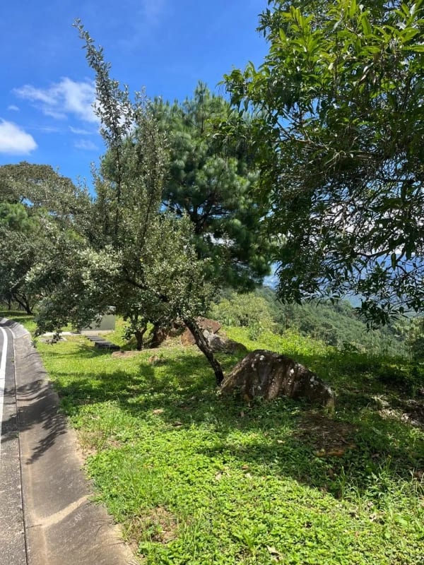 TERRENO EN VENTA EN EL PULTE — foto 2 de 2