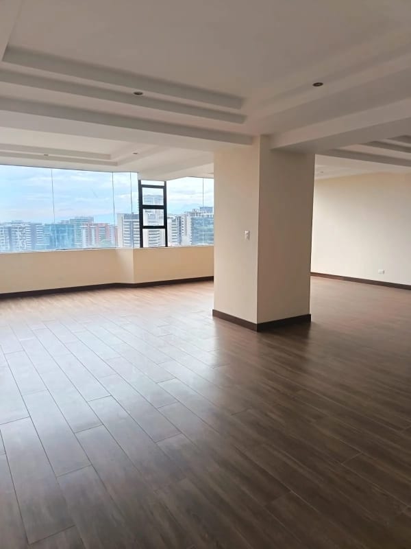 PROYECTO APARTAMENTOS EN VENTA ZONA 10 — foto 4 de 16