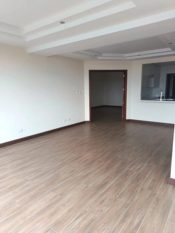 PROYECTO APARTAMENTOS EN VENTA ZONA 10 — foto 3 de 16