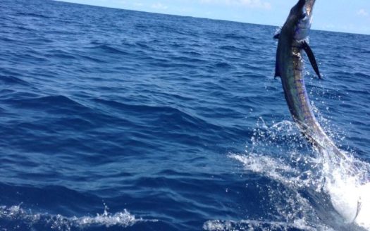 HOTEL EN VENTA MONTERRICO