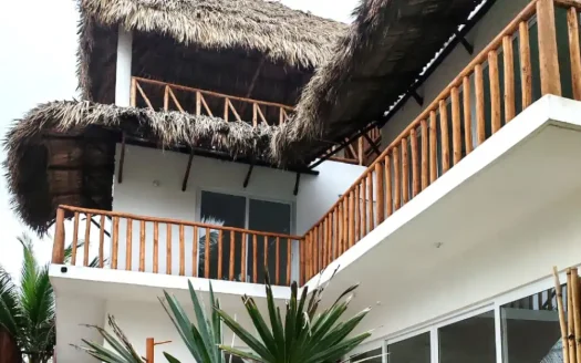 PROYECTO ACLARA PAREDON